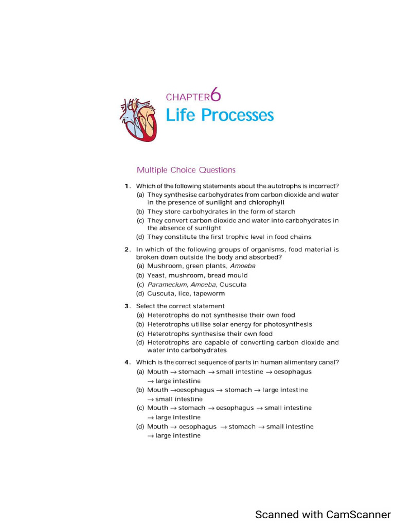 10 Science Exemplar Chapter 6 | PDF