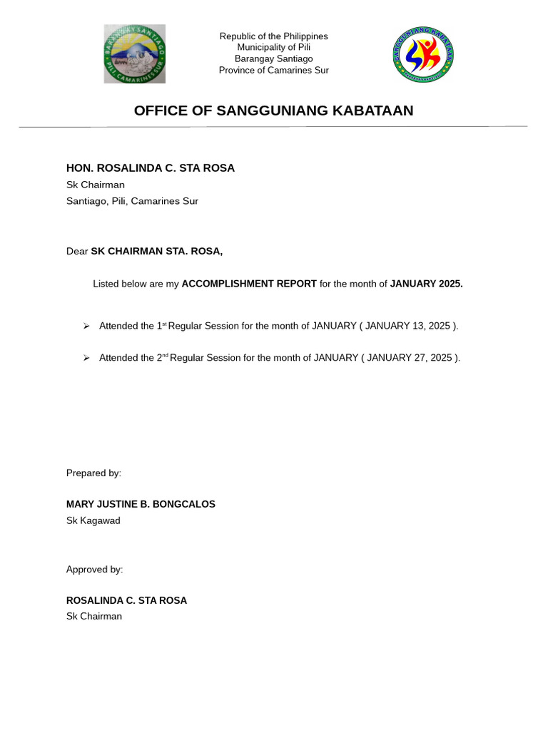 SK Accomplishment Reports 2025 | PDF | Vortices | Youth Organizations