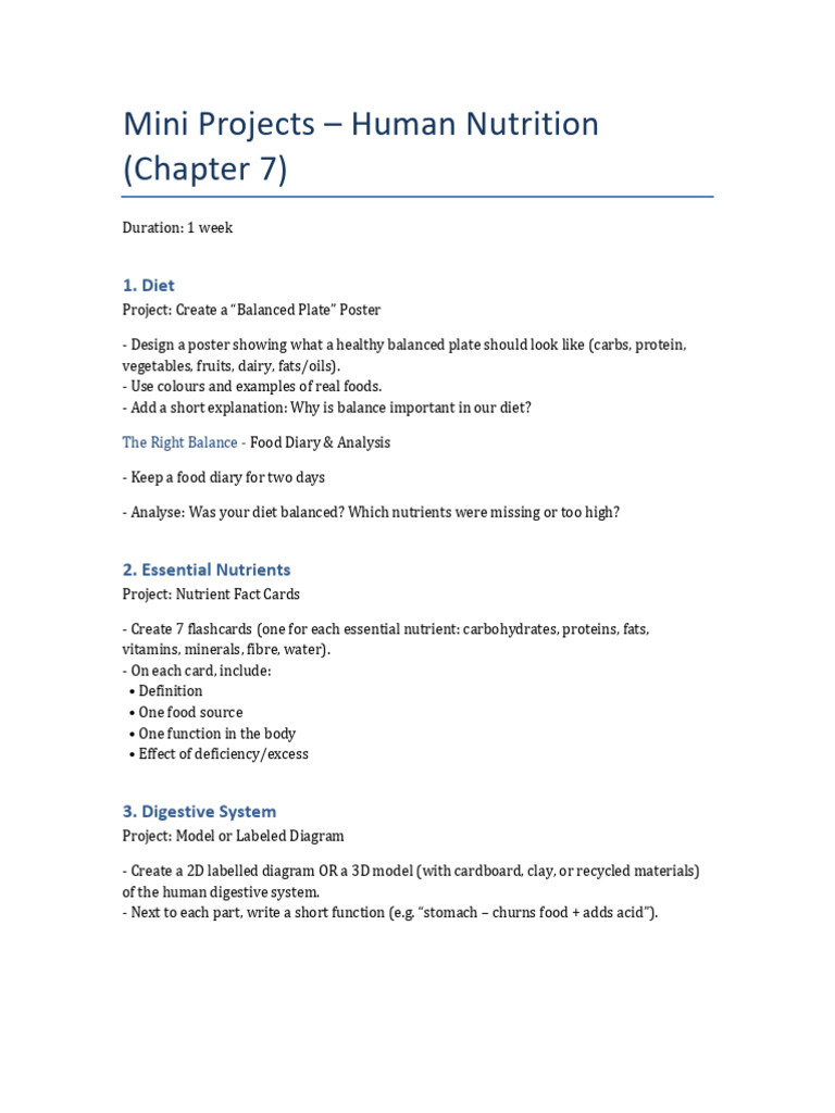 Chapter 7 Project | PDF