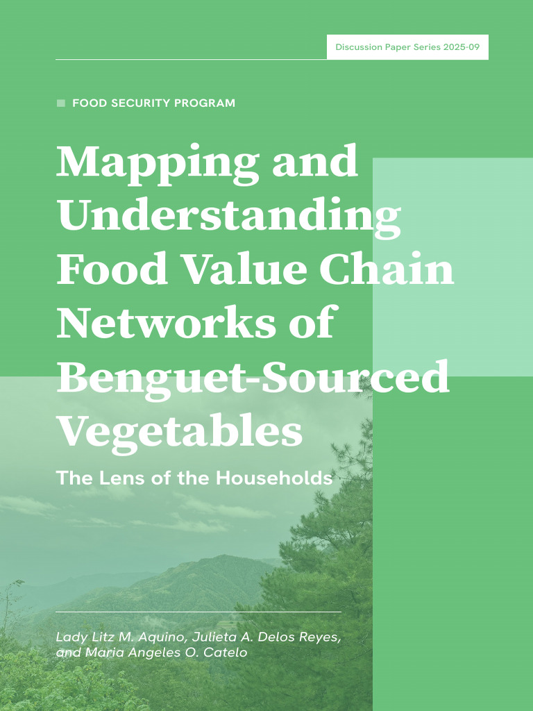 Benguet Vegetable Value Chain Analysis | PDF | Food Security | Agriculture