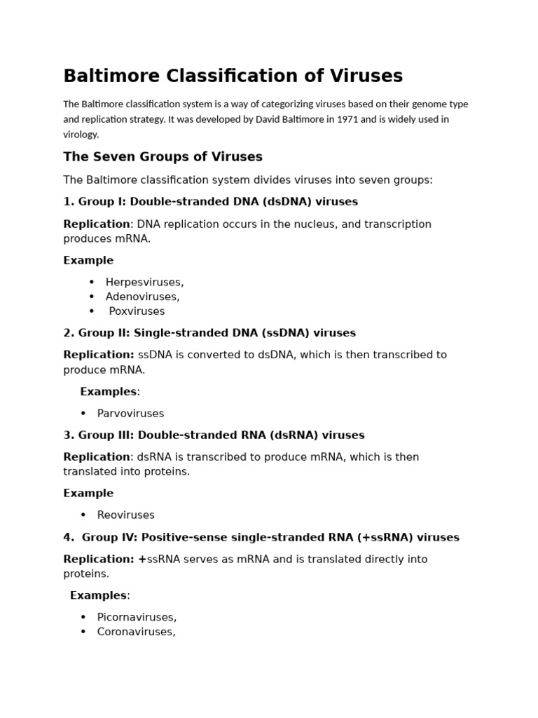 Baltimore Virus Classification System | PDF