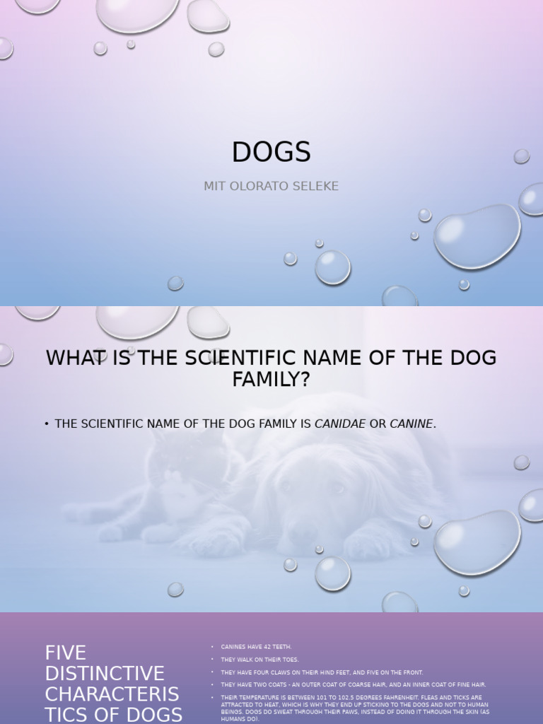 Characteristics and Contributions of Dogs | PDF | Dogs | Canidae