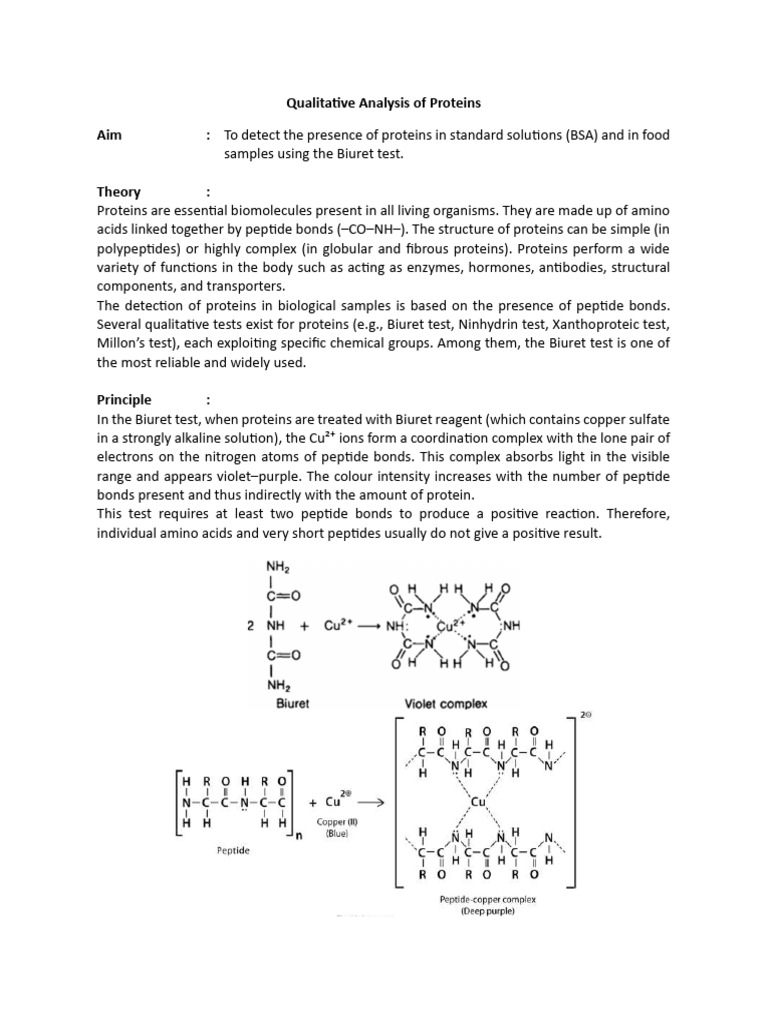 BIT101 BSBT Sem 1 Protein Practical | PDF