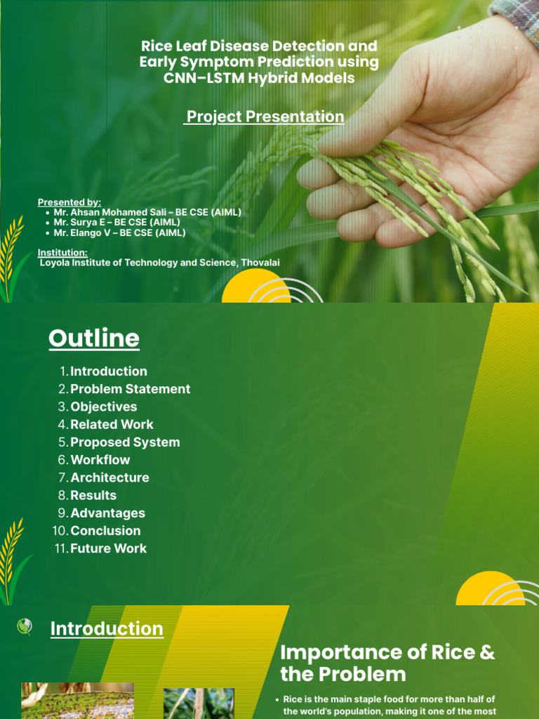 Rice Leaf Disease Detection and Early Symptom Prediction Using CNN-LSTM ...