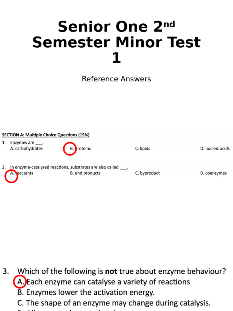 Senior One 2nd Semester Minor Test 1 | PDF