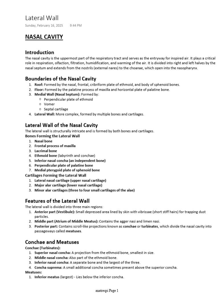 Anatomy and Functions of the Nasal Cavity | PDF | Human Nose | Larynx