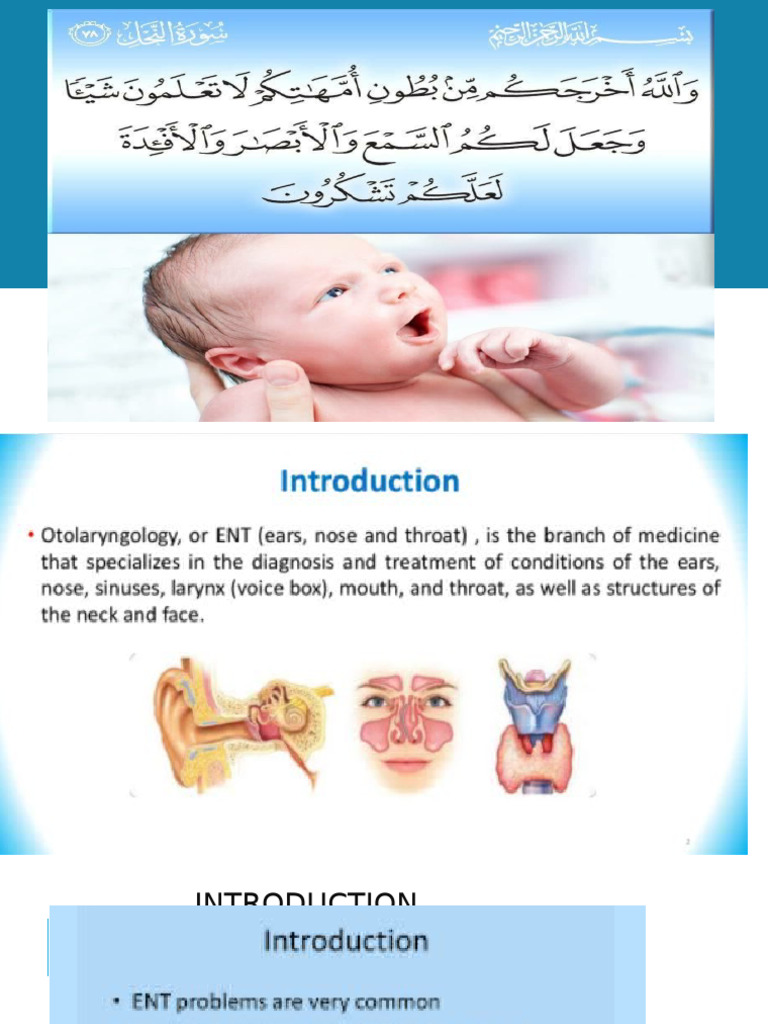 Overview of ENT Subspecialties and Anatomy | PDF | Ear | Medical ...