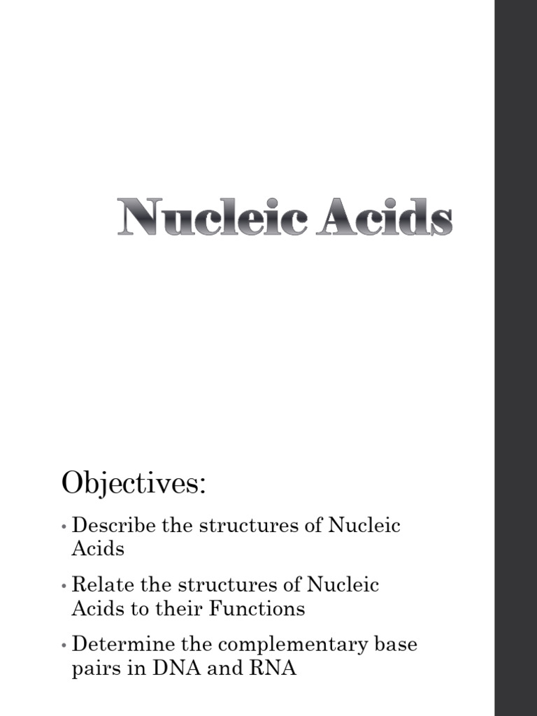 Nucleic Acids: Structure and Function | PDF | Nucleotides | Nucleic Acids