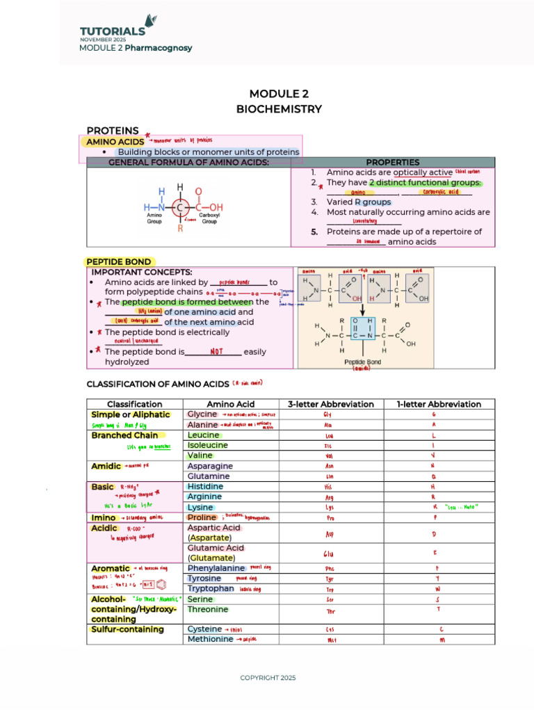 Understanding Amino Acids and Proteins | PDF | Protein Structure ...