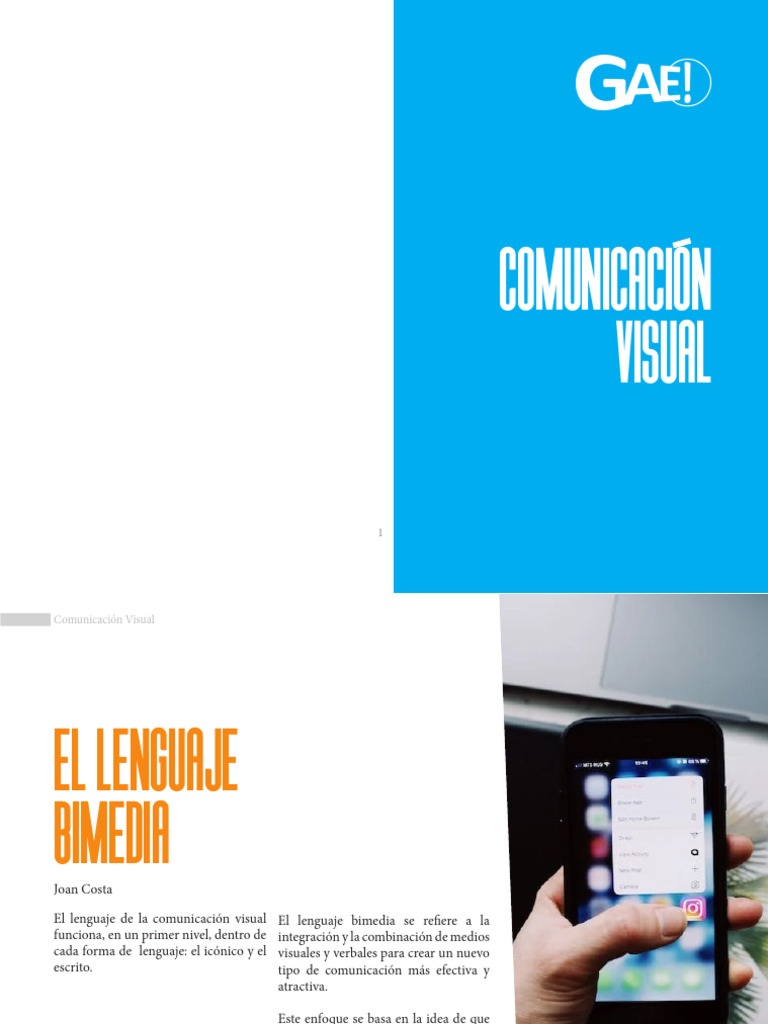 Lenguaje Bimedia en Comunicación Visual | PDF | Imagen | Comunicación