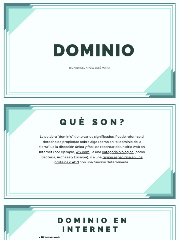 Significados del término 