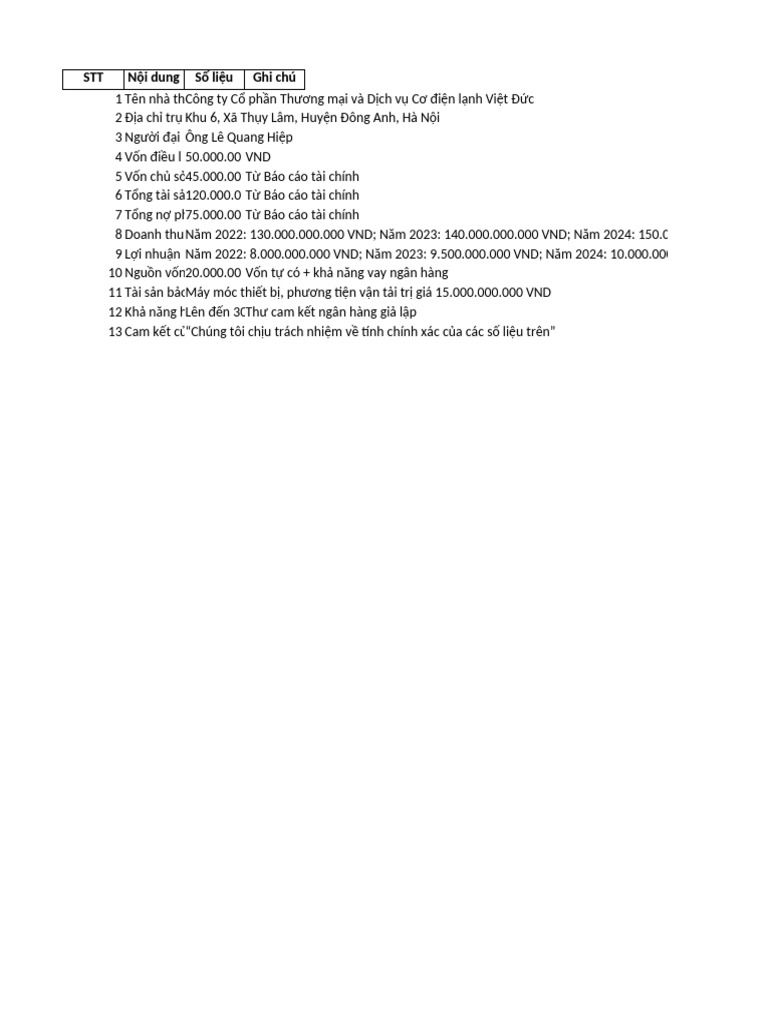 Bang Ke Khai Nang Luc Tai Chinh VietDuc | PDF