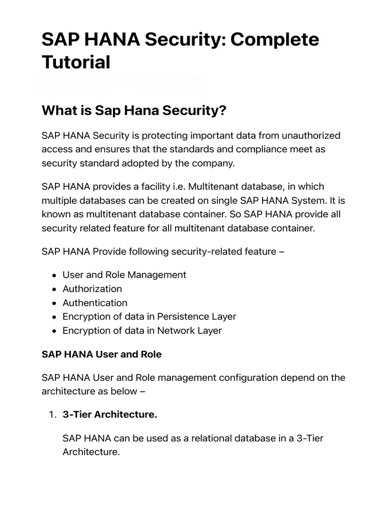 SAP HANA Security: User & Role Management | PDF | Databases | Computing