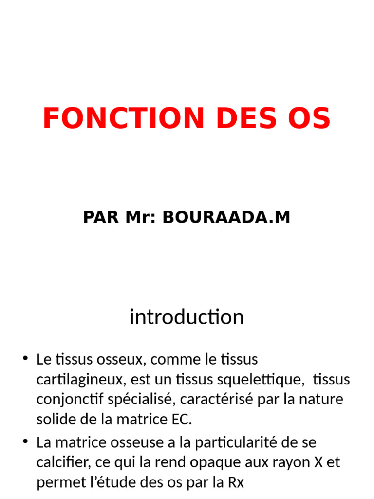 Structure de l'os compact | PDF | Os | Ostéoblaste