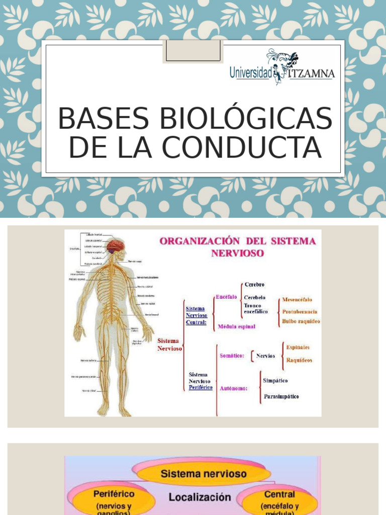 Bases Biológicas de la Conducta Humana | PDF | Mente | Las emociones