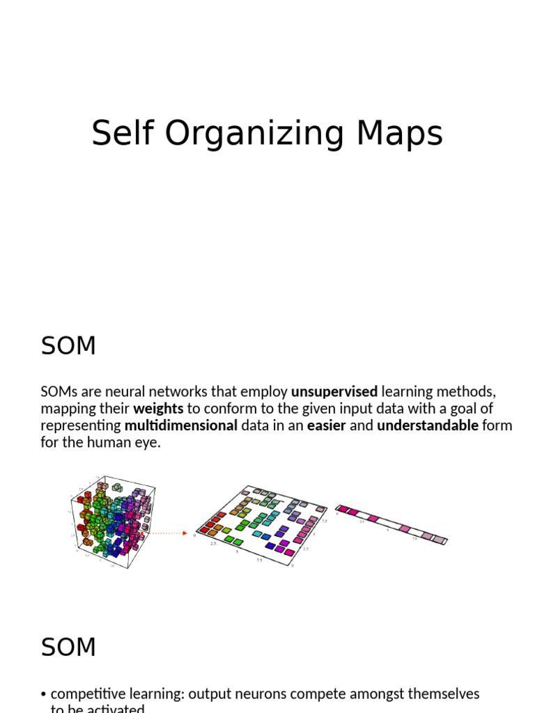 Understanding Self Organizing Maps | PDF | Algorithms | Cognitive Science