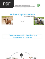 Características e Habitat do Preá | PDF