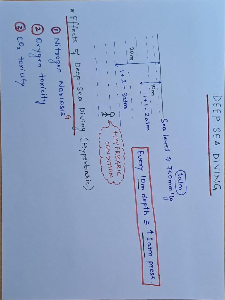 Deep Sea Diving Effects and Safety | PDF | Occupational Safety And ...