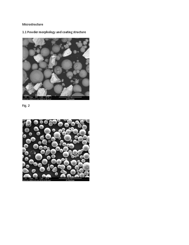Powder Morphology and Coating Structure | PDF