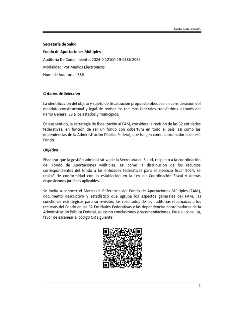 386 Asf | PDF | Trabajo Social | Auditoría