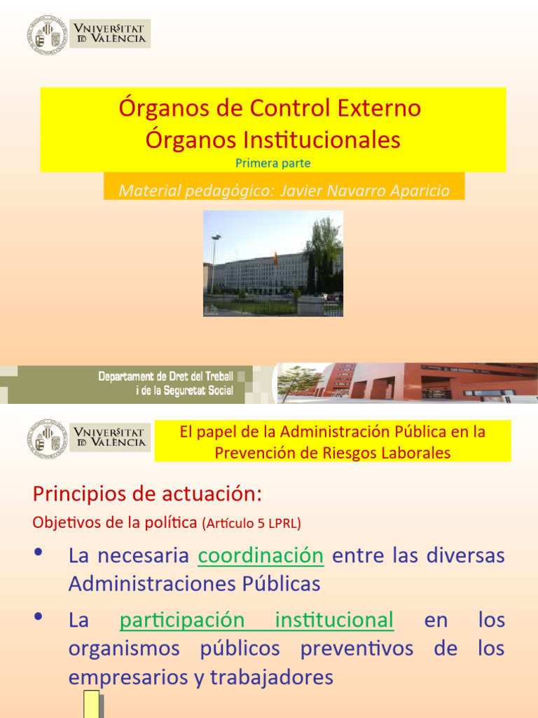 1 Organos Control Externo Institucionales | PDF | Seguridad y salud ...