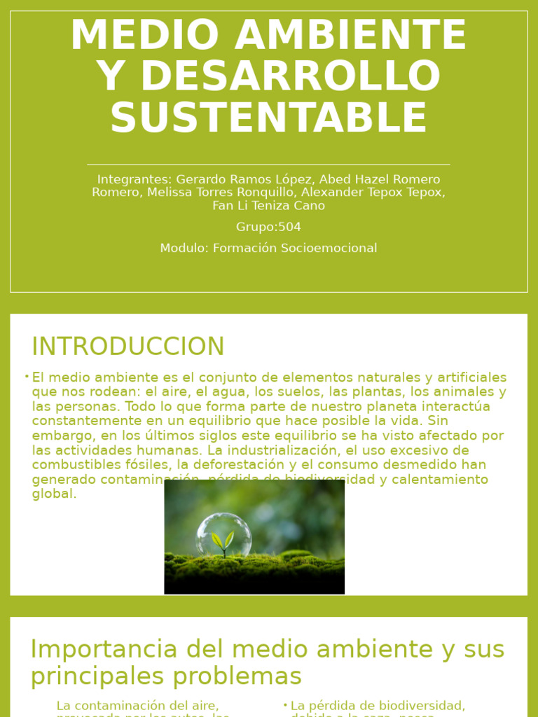 Medio Ambiente y Desarrollo Sustentable | PDF | Sustentabilidad ...