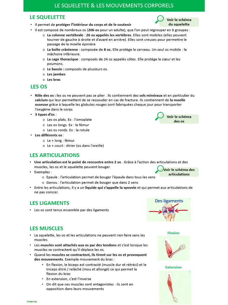 Anatomie du squelette et mouvements | PDF | Os | Articulation (anatomie)