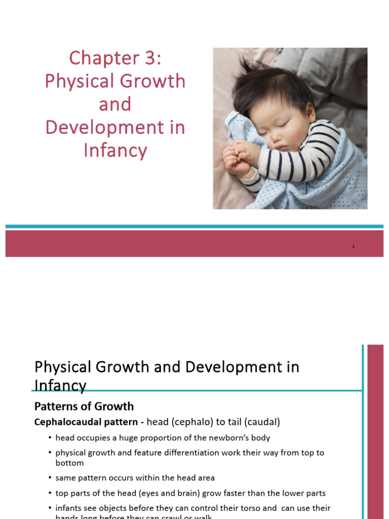 Lifespan - Chapter 3 Slides | PDF | Perception | Language Development