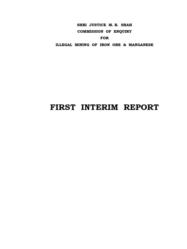 Interim Report on Illegal Mining Issues | PDF | Mining | Heavy Industry