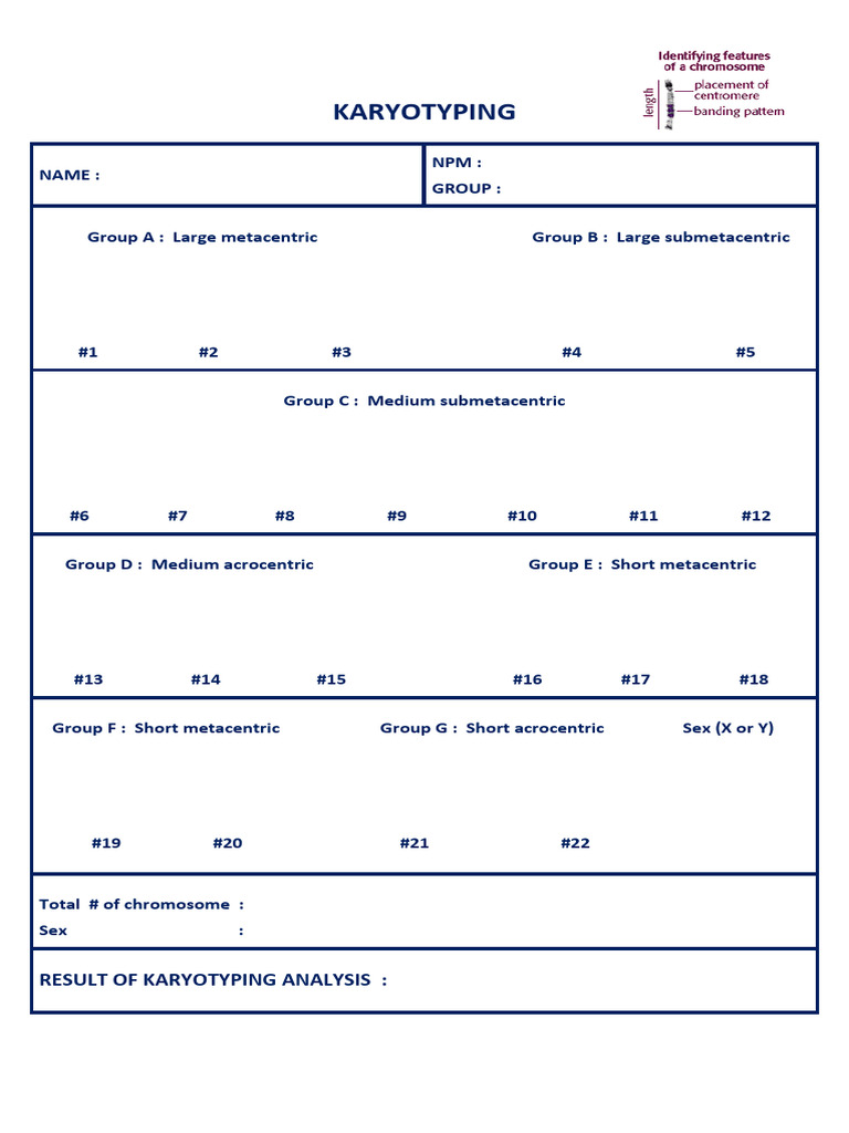 Karyotyping Analysis Results Guide | PDF