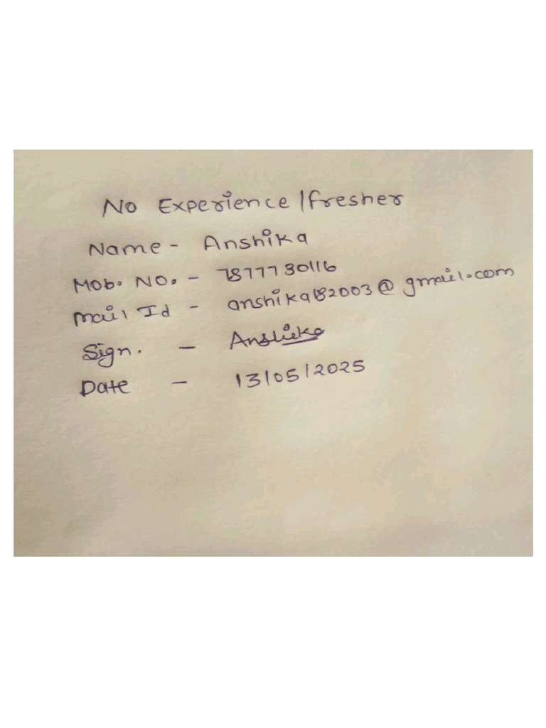 Experience PDF | PDF