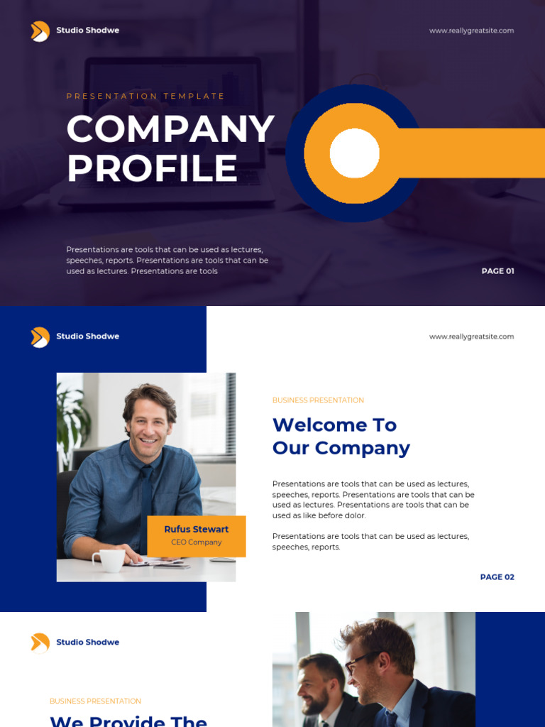Business Presentation Template Guide | PDF