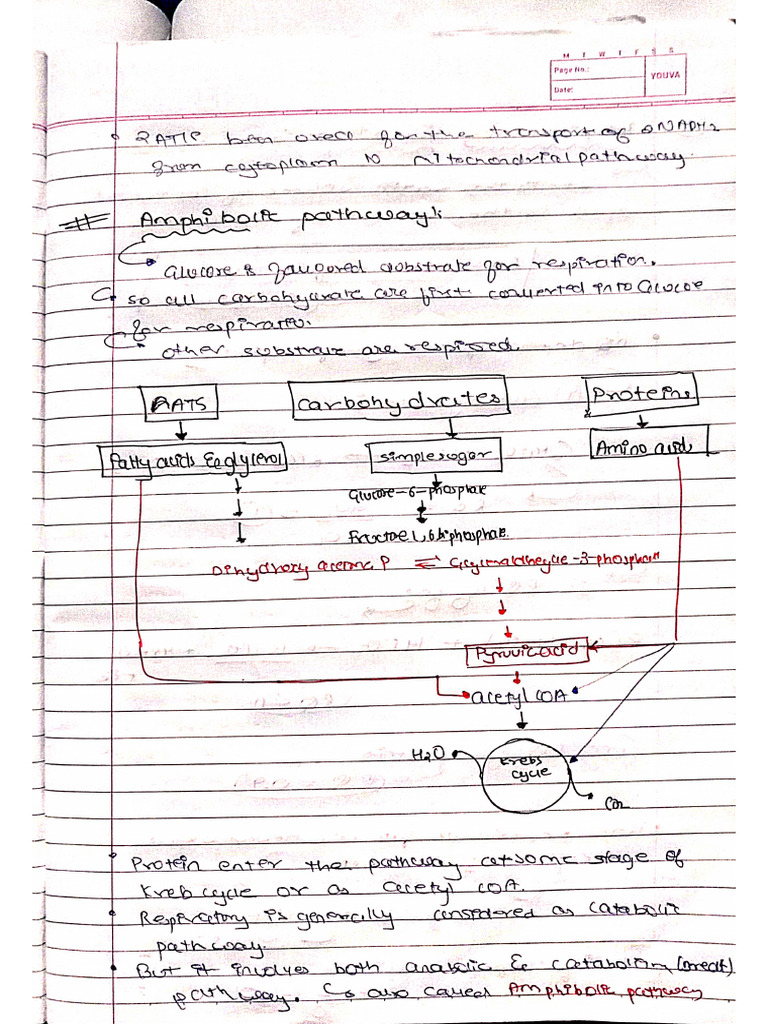 Manish Sir Today Notes | PDF