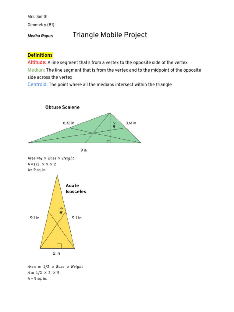 Triangle Mobile Project Overview | PDF