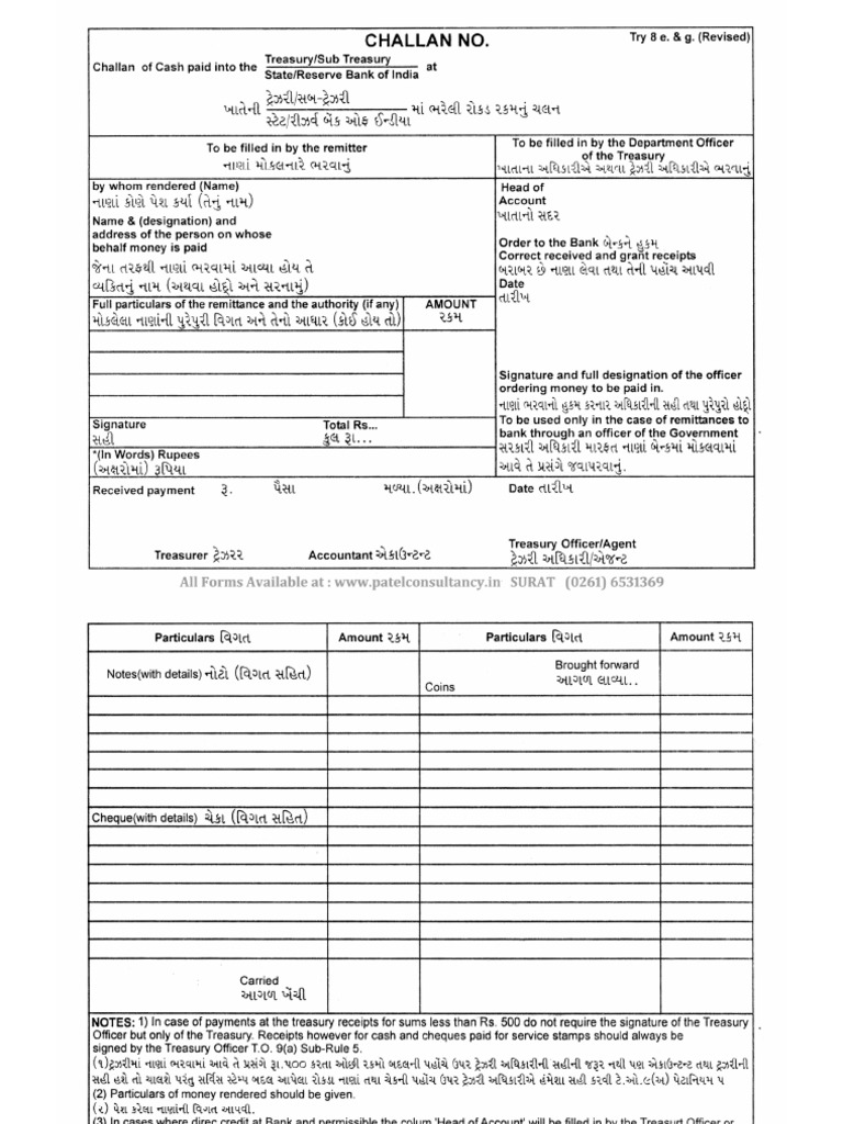 Tresury Challan | PDF