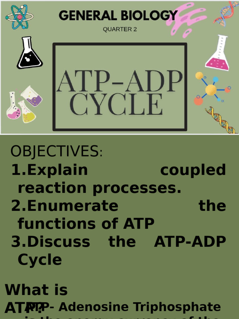 Understanding ATP and Its Functions | PDF | Adenosine Diphosphate ...