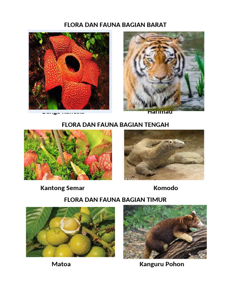 Flora dan Fauna Indonesia Bagian Barat | PDF