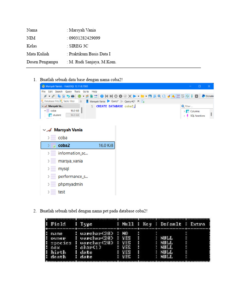 Panduan Praktikum SQL Dasar | PDF