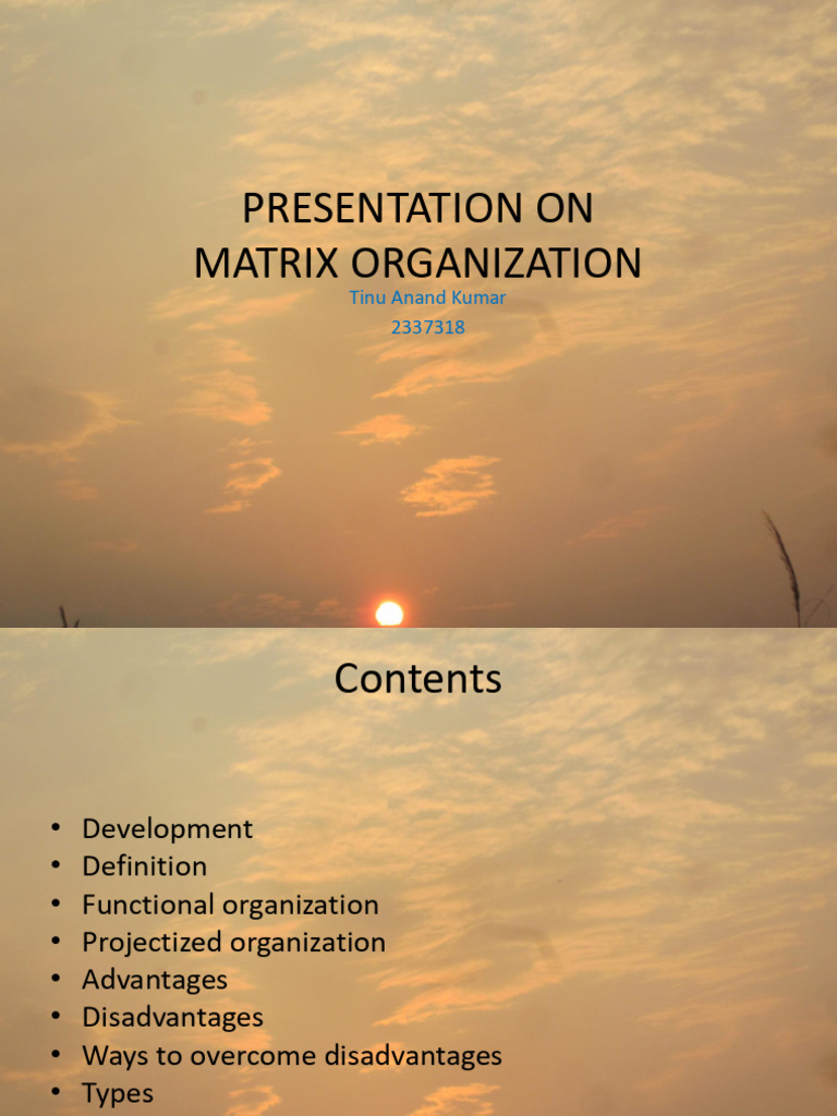 Matrixorganization 2337318 | PDF | Business