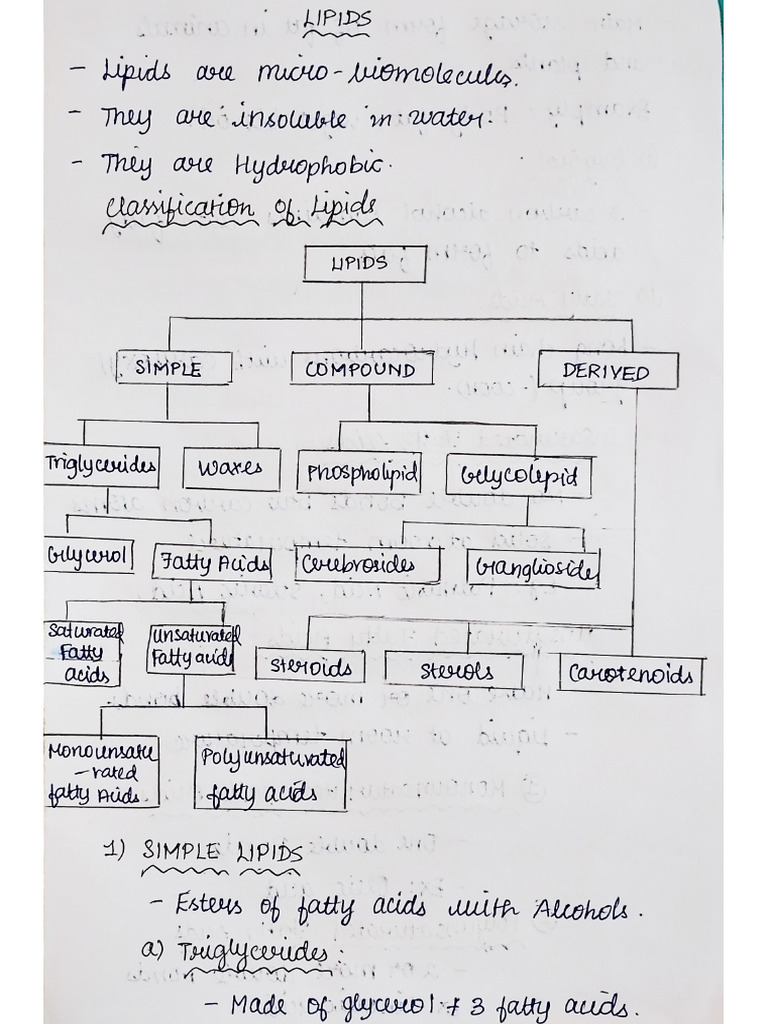 Lipids (10m) | PDF