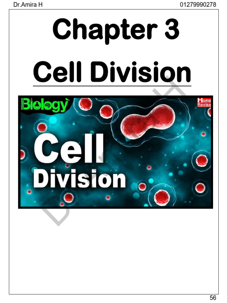 Chaper 3 Cell Division | PDF | Meiosis | Mitosis