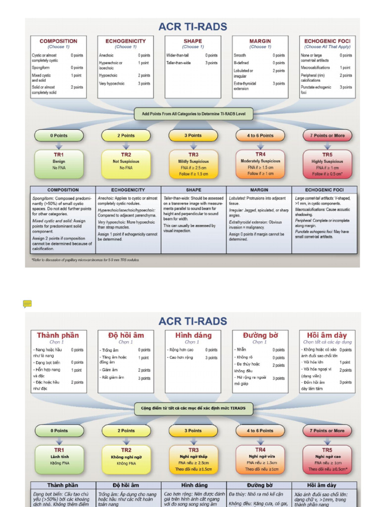 Acr Tirad Anh Viet | PDF