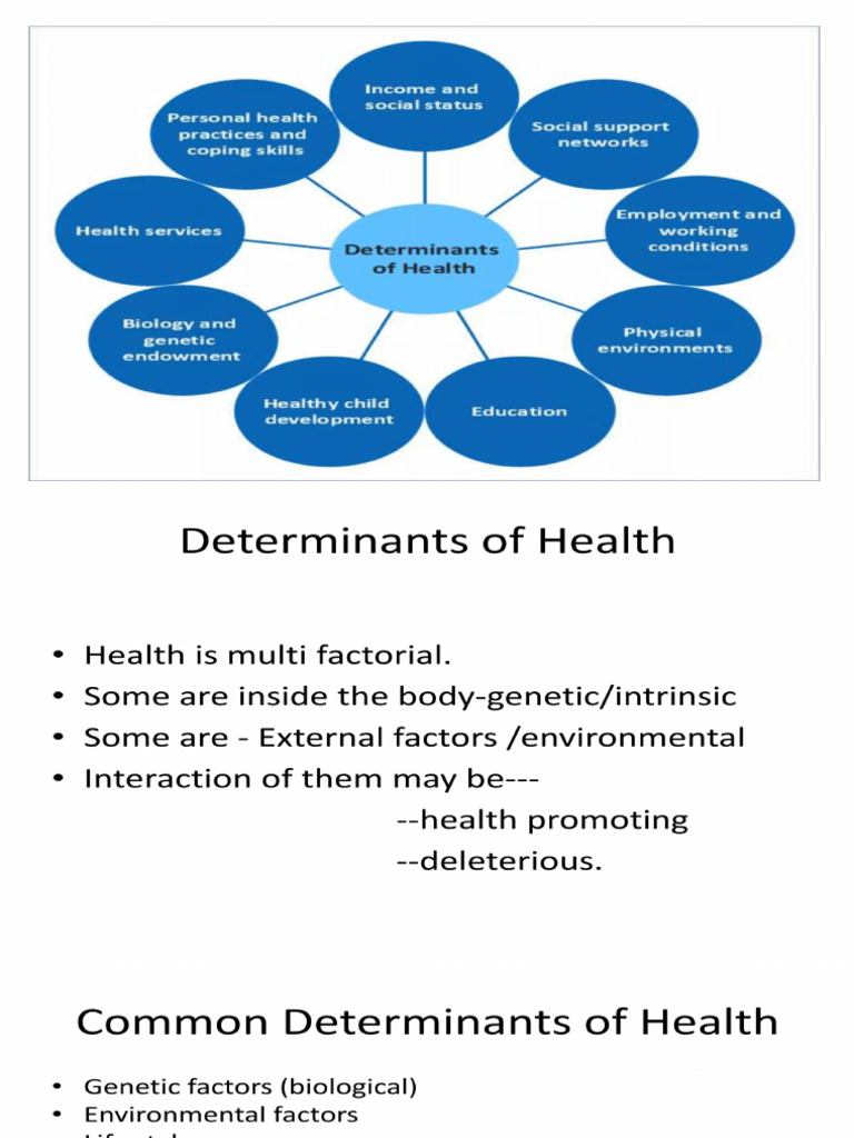 Determinants of Health | PDF