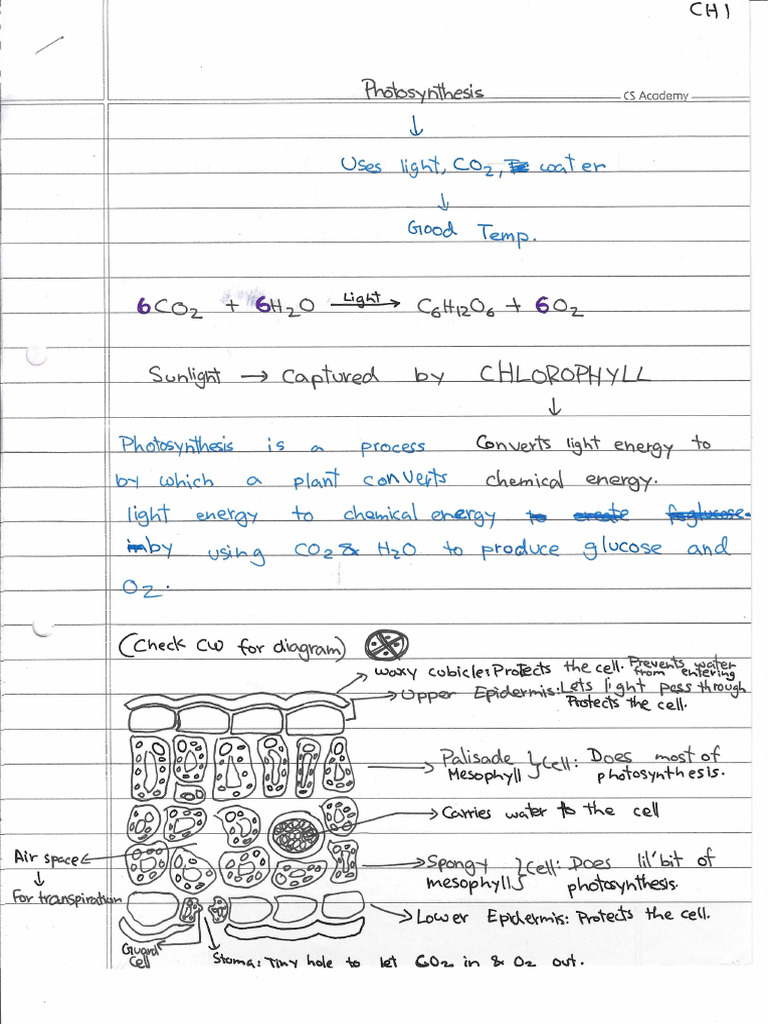 Biology Chapter 1 Notes | PDF