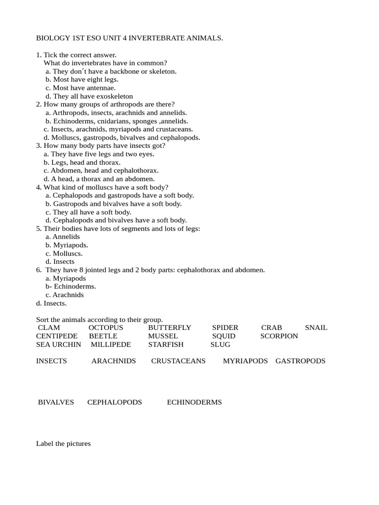 Vertebrates and Invertebrates | PDF | Invertebrate | Insects
