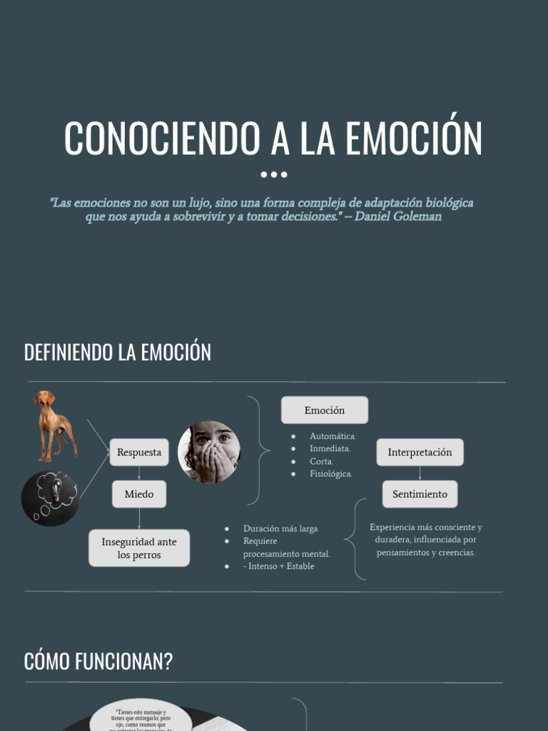 Regulación emocional en niños | PDF | Las emociones | Ira