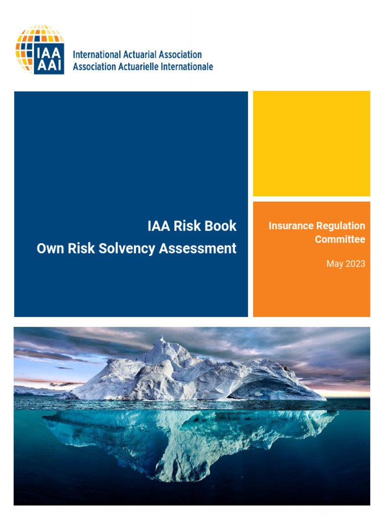 IAA ORSA Risk Assessment Guide | PDF | Risk | Insurance