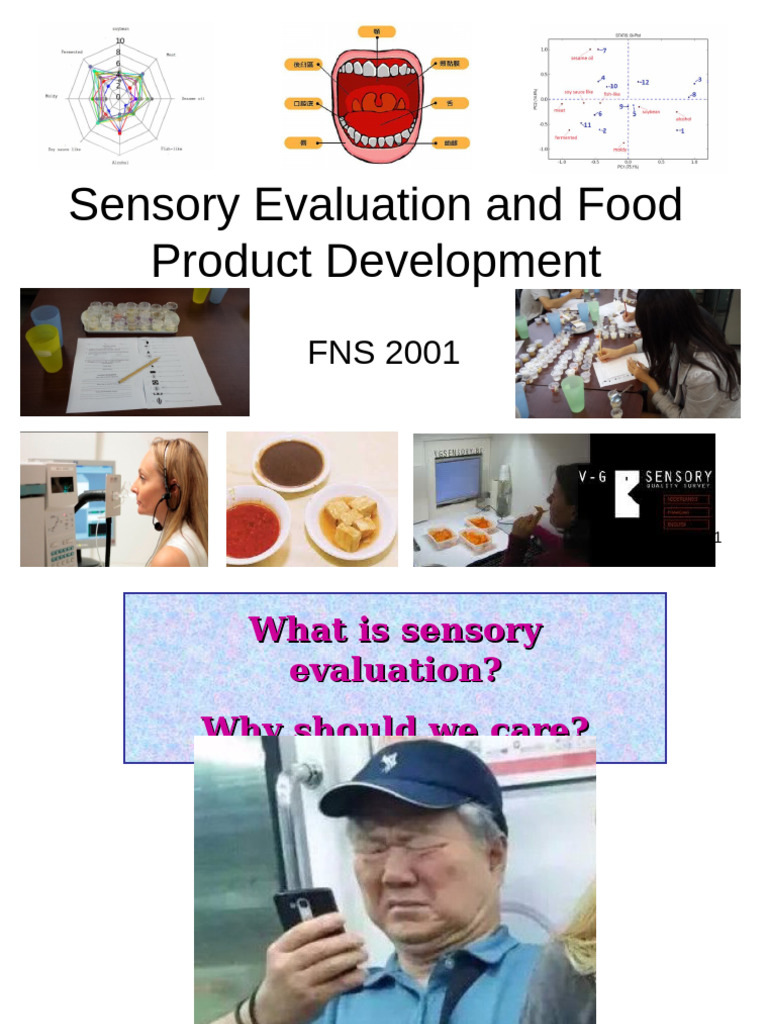 Sensory Evaluation in Food Development | PDF | Perception | Senses