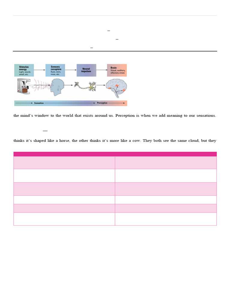 Understanding Attention and Perception | PDF | Color | Extrasensory ...