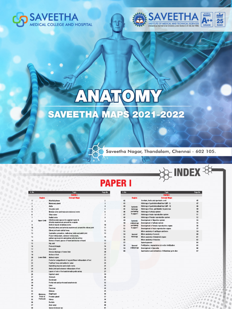 Anatomy Concept Map | PDF